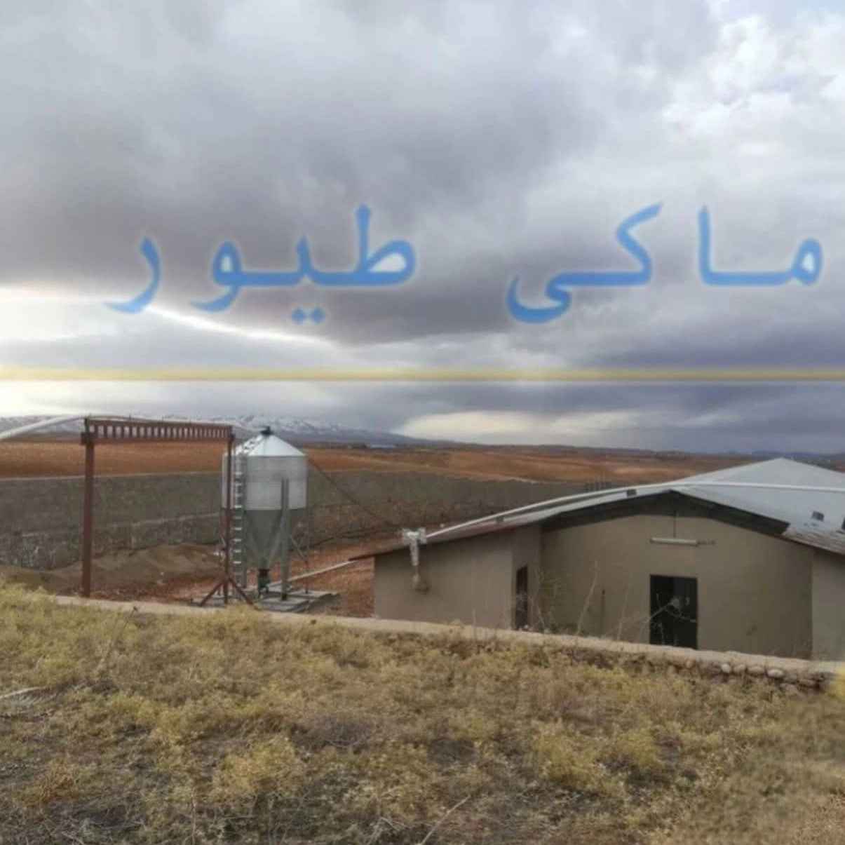 1778395462839.webp