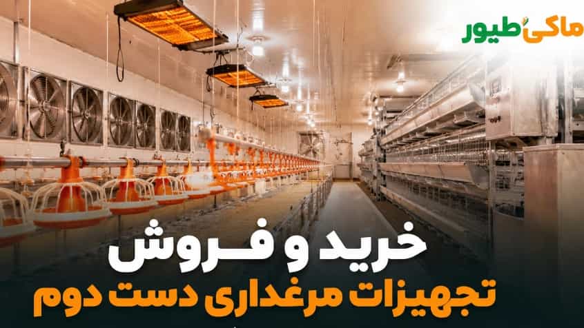 خرید و فروش تجهیزات مرغداری دست دوم
